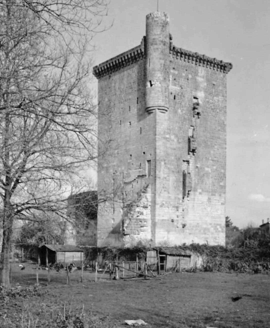 La Maison De Jeanne Lesparre-Médoc Buitenkant foto